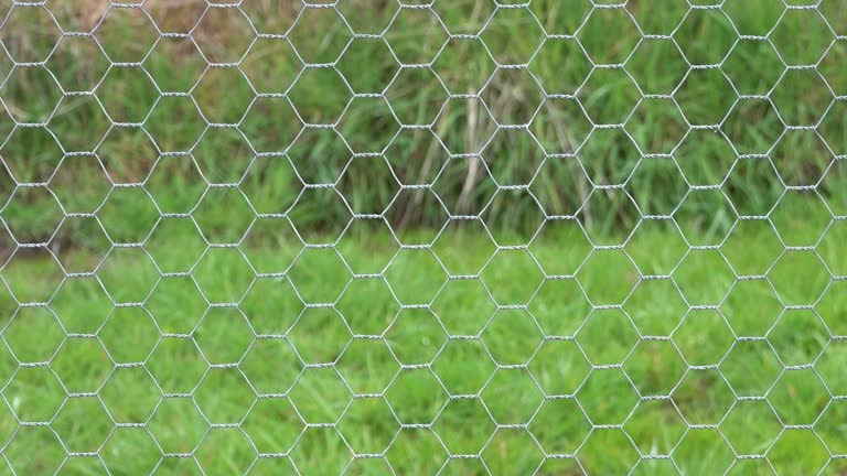 Zaeune im Fokus praktische Tipps fuer Hausbesitzer